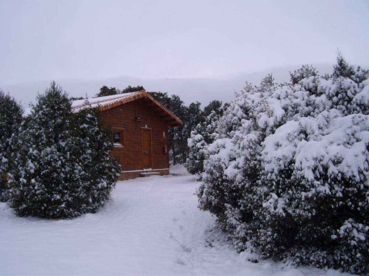 Camping Casa Fausto Cerca De Dinopolis Formiche Alto 外观 照片